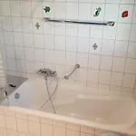 Apartmán Fewo-barbara, Ruhige Lage, 15 Min. Zum Europapark *
