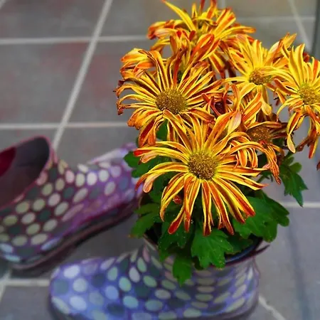 Fewo-barbara, Ruhige Lage, 15 Min. Zum Europapark Appartement *